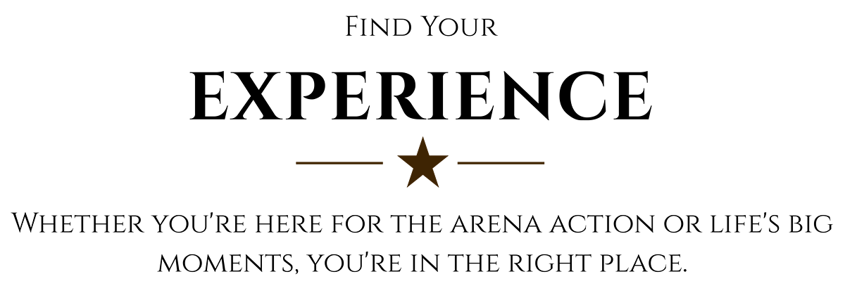 Untitled Project - Artboard 2.png
